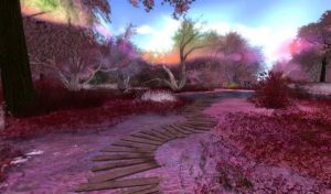 The choice to celebrate life instead of mourning the loss