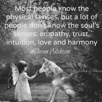 Read more about the article Intuition