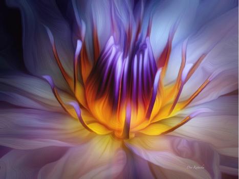 Read more about the article Sweet Love, one aspect of many of love