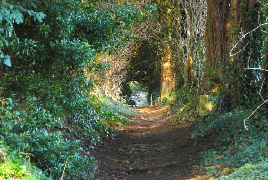 Read more about the article Do the Walk of Life