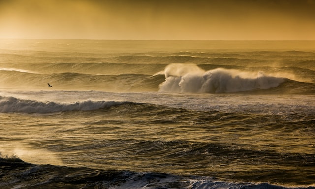 Read more about the article Common Grounds