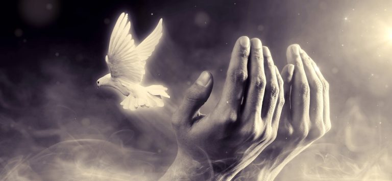 Read more about the article Draw the light of courage and compassion into yourself