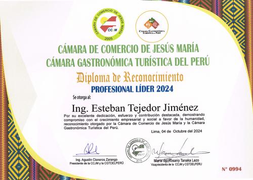 Professional Leader 2024