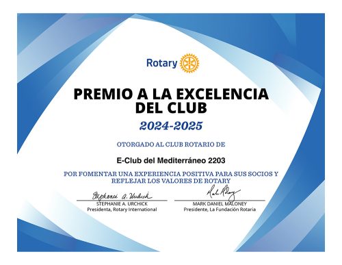 Excellence Award from Rotary International · Club President